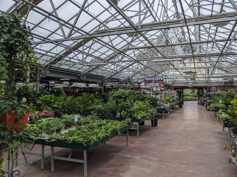 Organic Vegetables, Herbs, and Tropical Plants