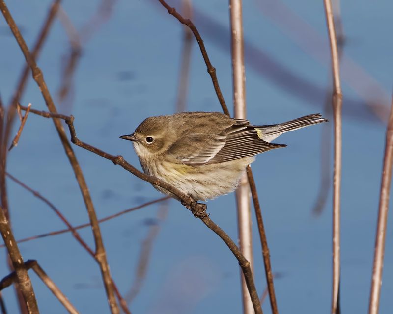 Over 250 Bird Species Call This Sanctuary Home Over 250 Bird Species Call This Sanctuary Home