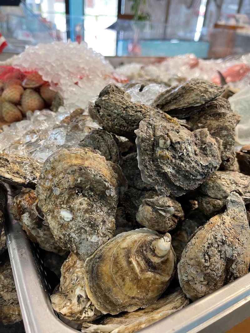 Oyster Shucking Lessons You Did Not Sign Up For