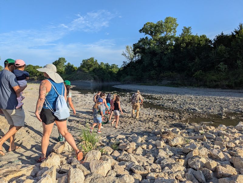 Oysters, Ammonites And Other Everyday Treasures Oysters, Ammonites And Other Everyday Treasures