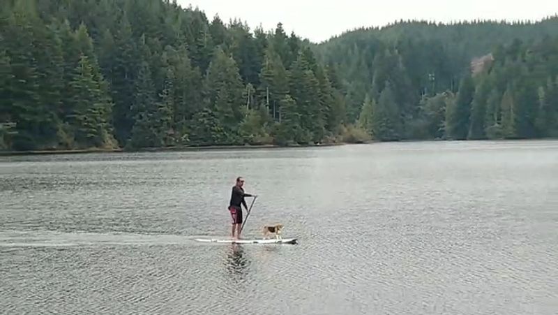Paddling Eel Lake by Kayak or Paddleboard Paddling Eel Lake by Kayak or Paddleboard