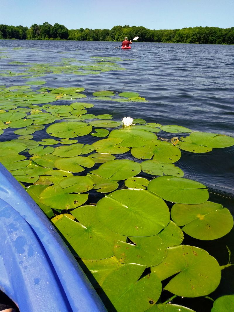 Paddling, Floating, and Getting Out on the Water