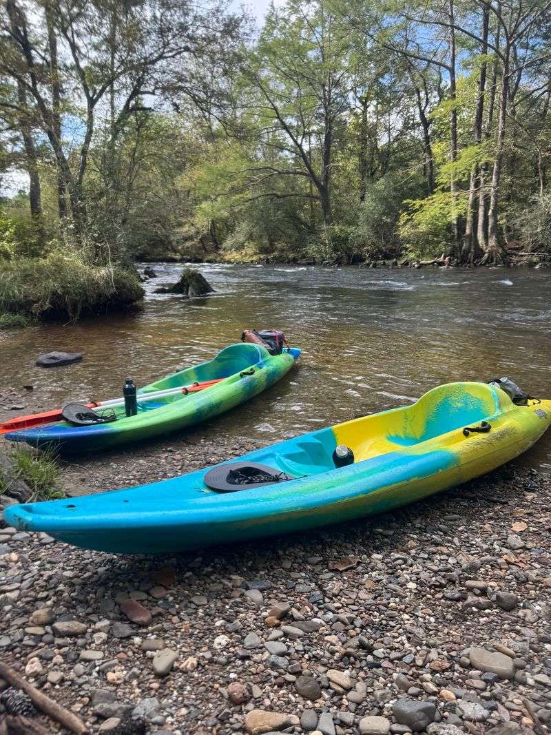Paddling Through Quiet Water