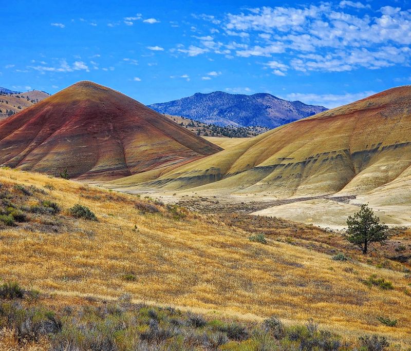 Painted Hills, Mitchell Painted Hills, Mitchell