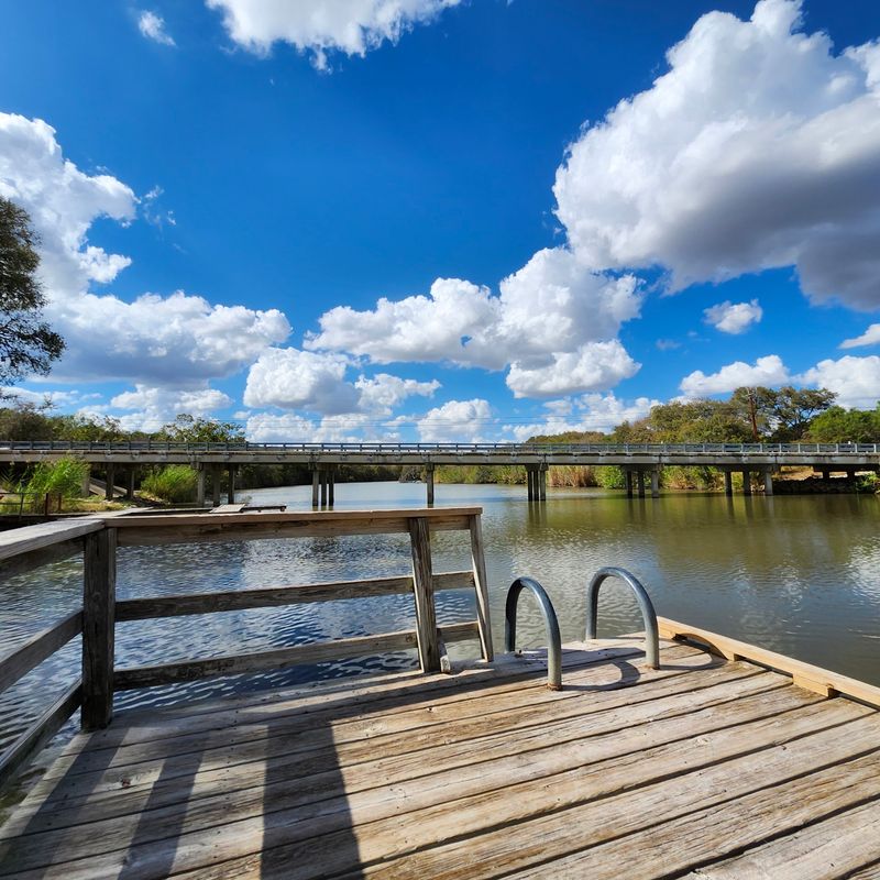 Palmetto State Park, The Texas Rainforest Surprise