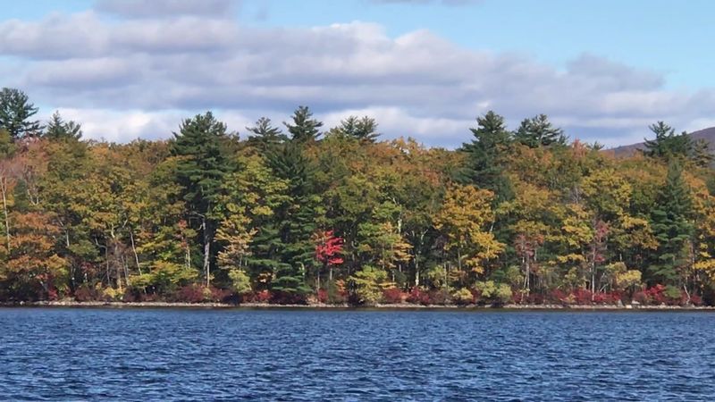 Paradise Point Natural Area, a Sanctuary Worth Seeking Paradise Point Natural Area, a Sanctuary Worth Seeking