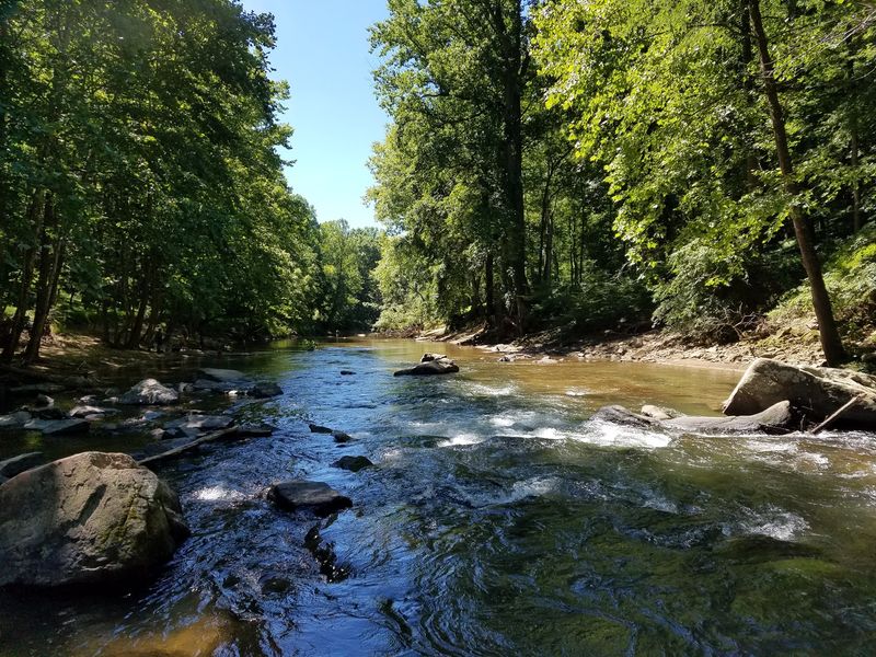 Patapsco Valley State Park, McKeldin North Area, Sykesville Patapsco Valley State Park, McKeldin North Area, Sykesville