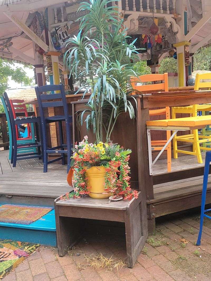 Patio Afternoons and Planning Your Visit