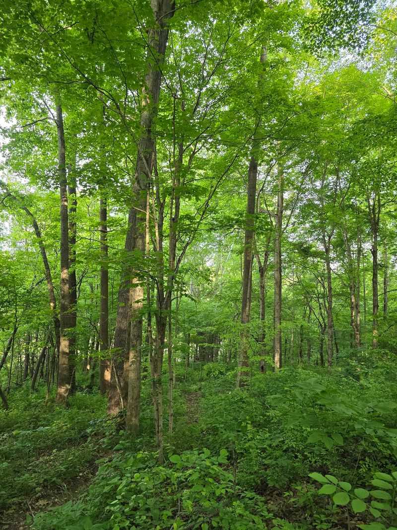 Patoka Lake and Nearby Natural Wonders Will Blow You Away Patoka Lake and Nearby Natural Wonders Will Blow You Away