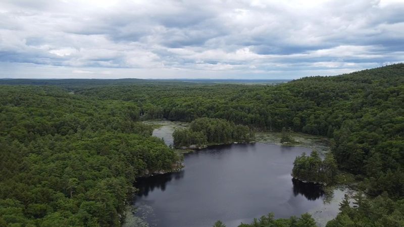 Pawtuckaway Park's Diverse Habitats