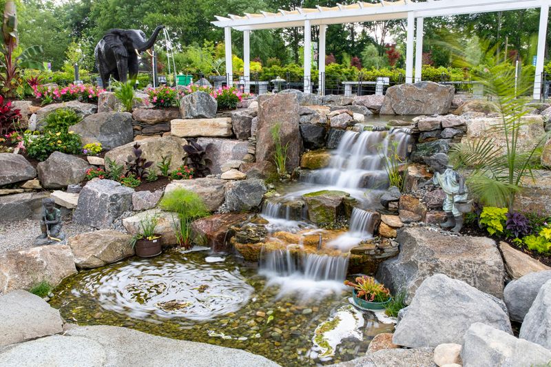 Peacocks, a Koi Pond, and the Atmosphere of the Place