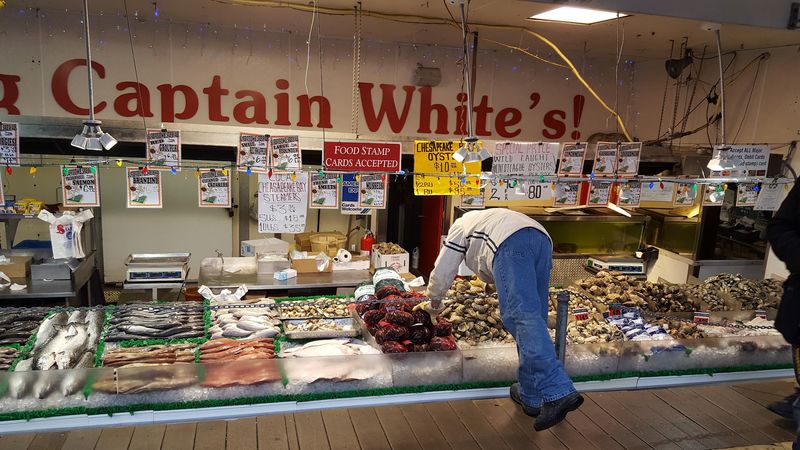Picking Your Own Catch Straight From the Ice