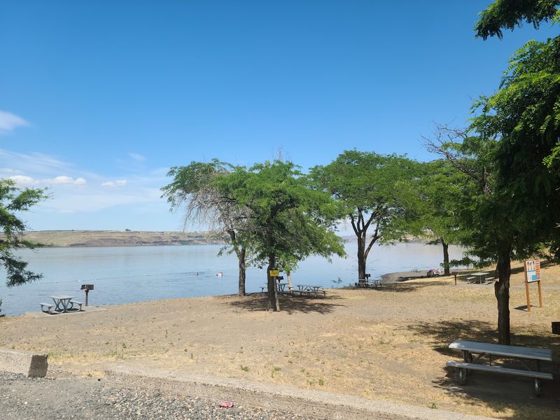 Picnic Areas With Grills, a Setup Worth Knowing About Picnic Areas With Grills, a Setup Worth Knowing About