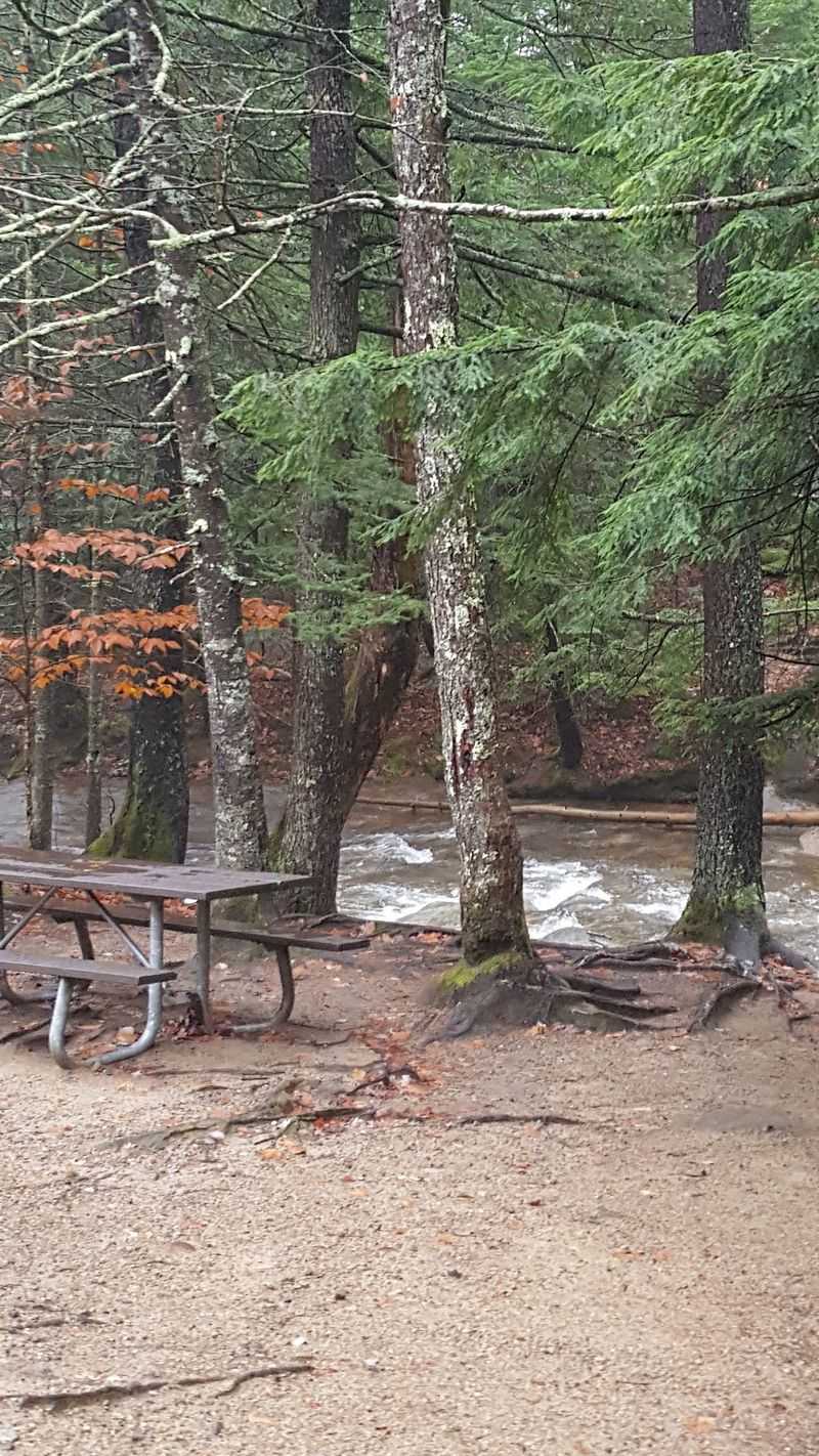 Picnic Spots And Peaceful Pauses Picnic Spots And Peaceful Pauses