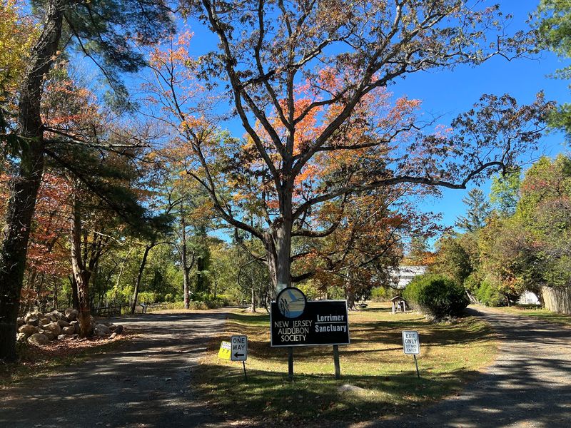 Picnic Spots Made For Lingering Picnic Spots Made For Lingering