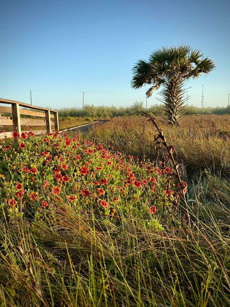 Picnic Spots and Signs That Teach as You Walk Picnic Spots and Signs That Teach as You Walk