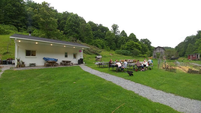 Picnic Tables, Chickens, and a Mountainside Backyard Picnic Tables, Chickens, and a Mountainside Backyard