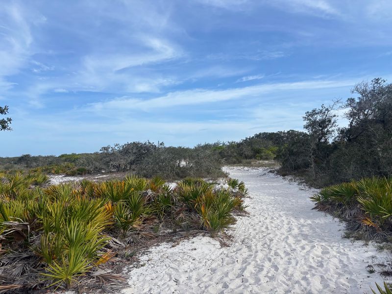 Pine Beach Trail At Bon Secour National Wildlife Refuge Pine Beach Trail At Bon Secour National Wildlife Refuge