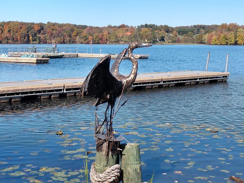Piney Run Lake, Piney Run Park