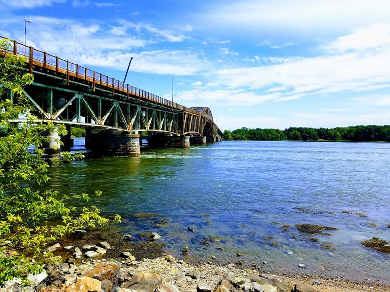 Piscataqua River and the Bear That Chose to Swim Piscataqua River and the Bear That Chose to Swim
