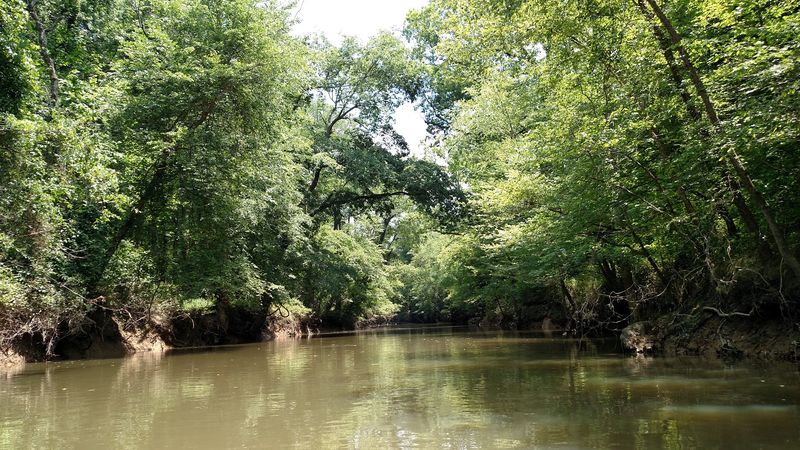Plan Your Dan River Firefly Float, Everything You Need to Know Plan Your Dan River Firefly Float, Everything You Need to Know