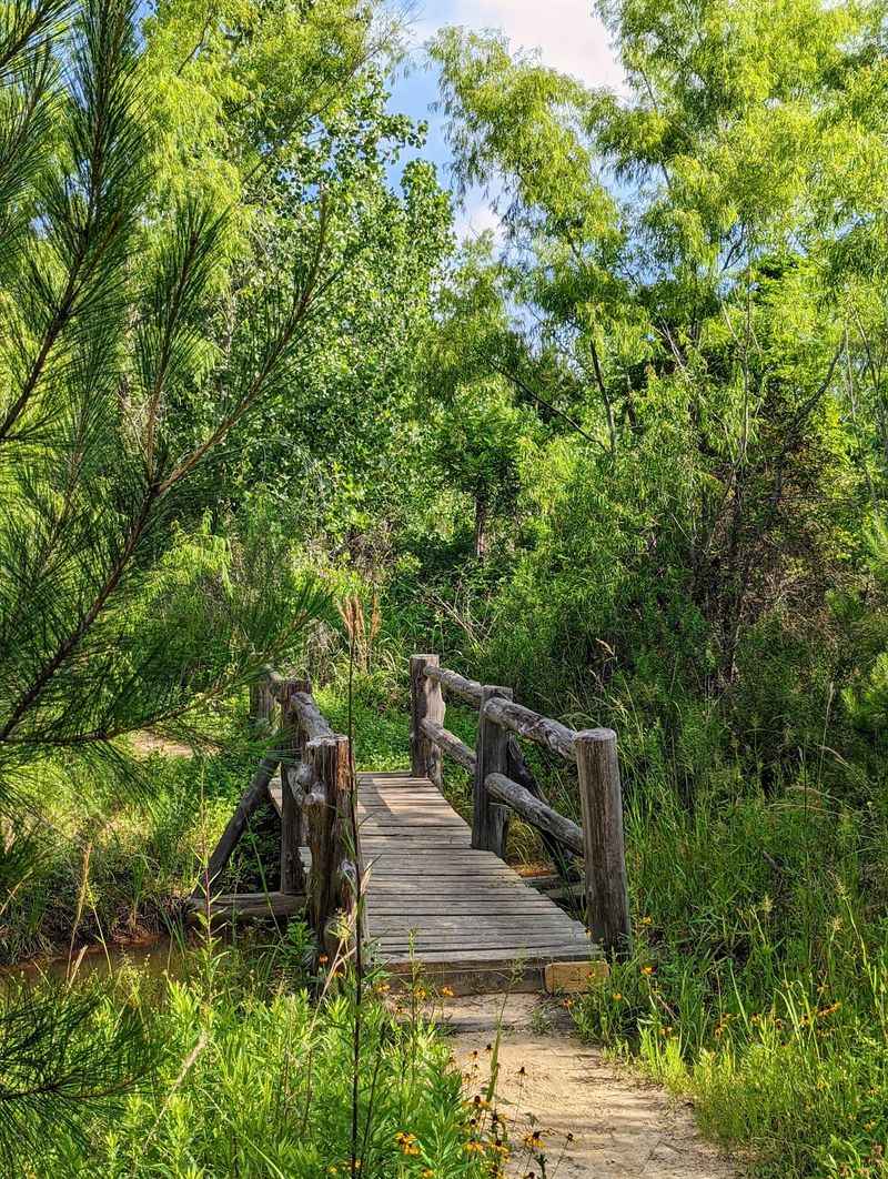 Planning A Cheap, Easy Visit From Austin