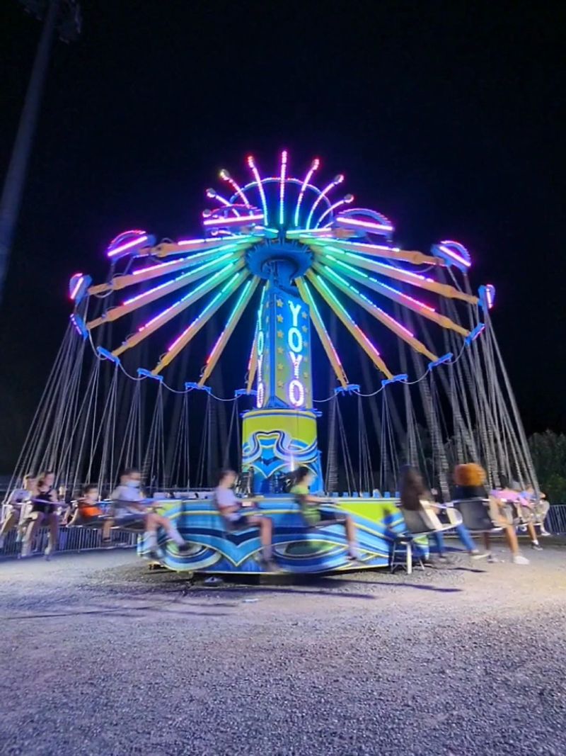 Planning Your Visit, Tips for Making the Most of the Fair Planning Your Visit, Tips for Making the Most of the Fair
