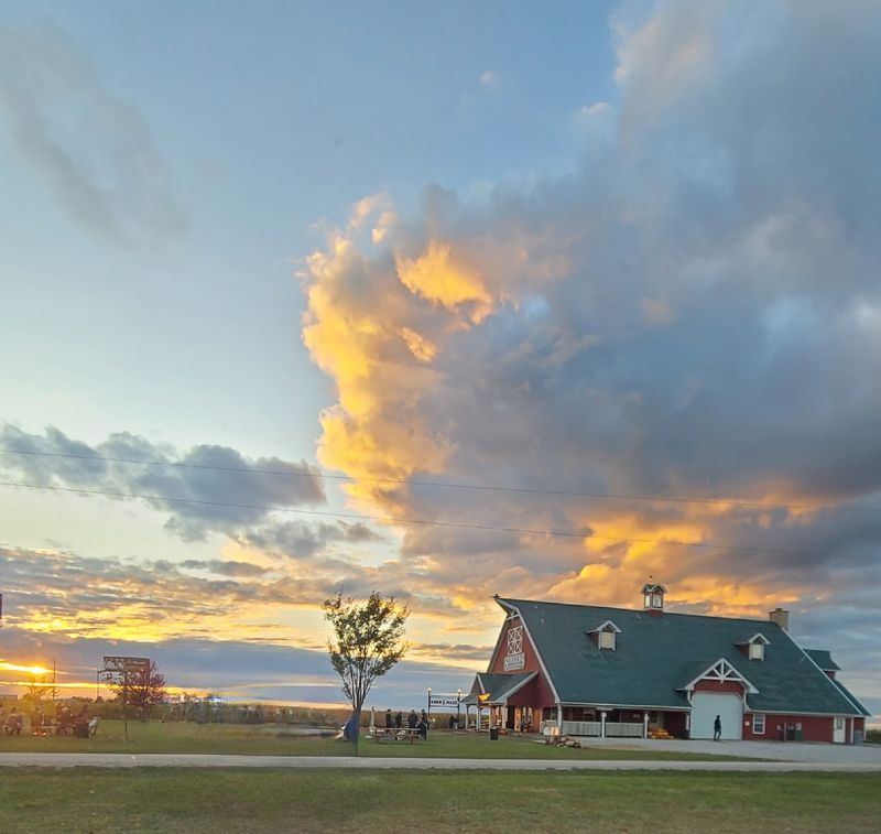Planning Your Visit To A Farm With 130 Years Of History