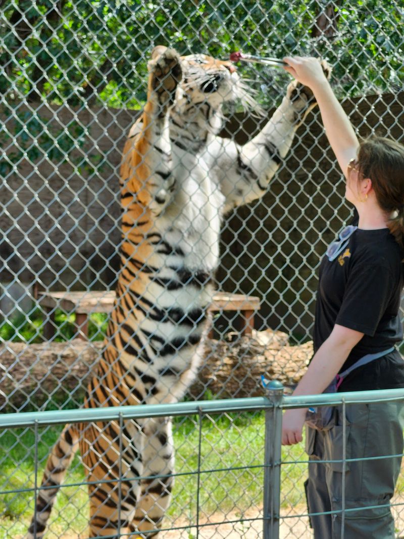 Planning Your Visit Without Any Guesswork Planning Your Visit Without Any Guesswork