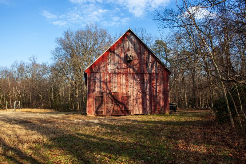 Planning a Visit, Hours, Rules, and What to Expect