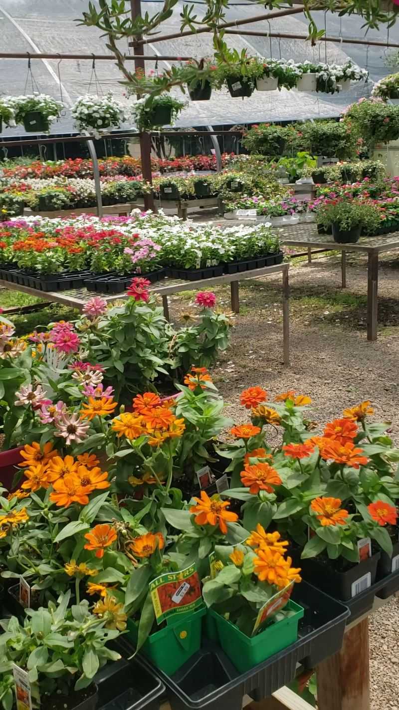 Plants For Every Skill Level Plants For Every Skill Level