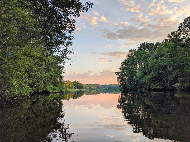 Pocomoke River State Park, Shad Landing