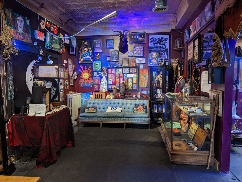 Pop Culture, Kitsch, and a Cat from Outer Space