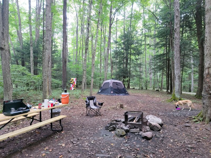 Poplar Lick and the Backpacker Loop for Longer Adventures