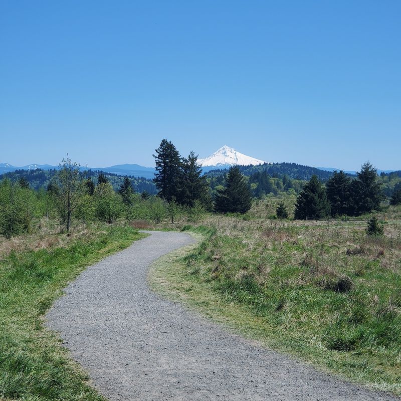 Powell Butte Nature Park