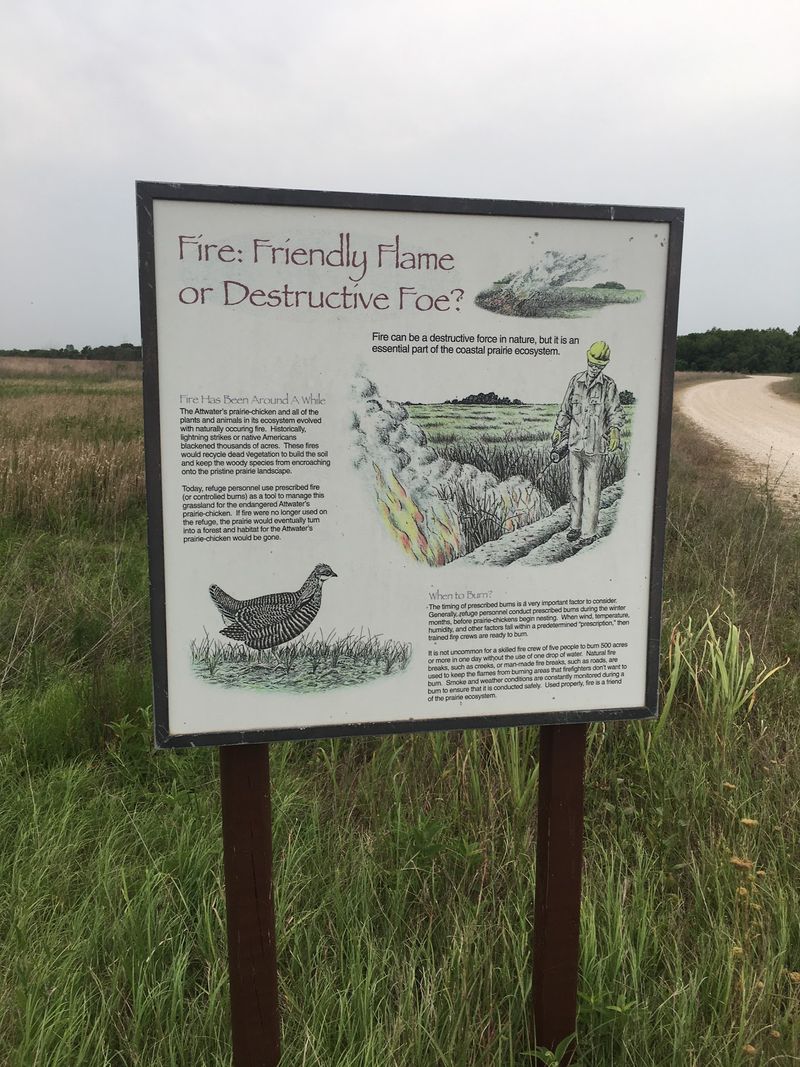 Prescribed Burns and Habitat Management on the Ground
