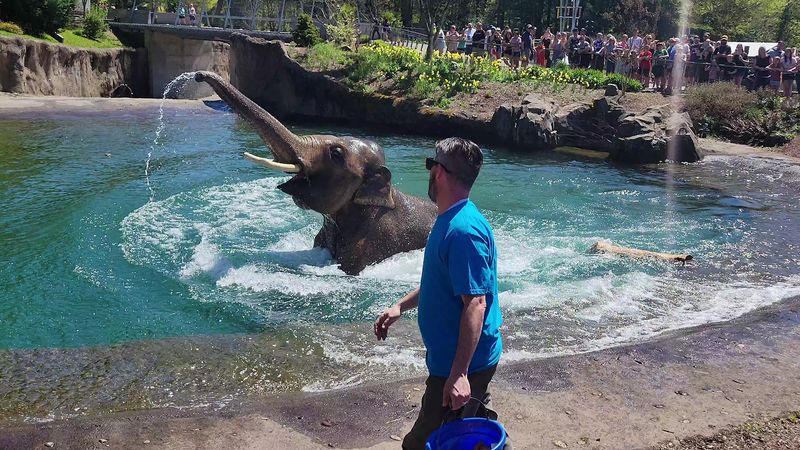 Primates With Personality And Excellent Timing