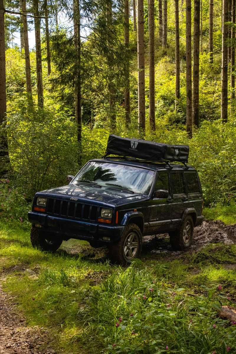 Primitive Camping Under The Hardwood Canopy Primitive Camping Under The Hardwood Canopy
