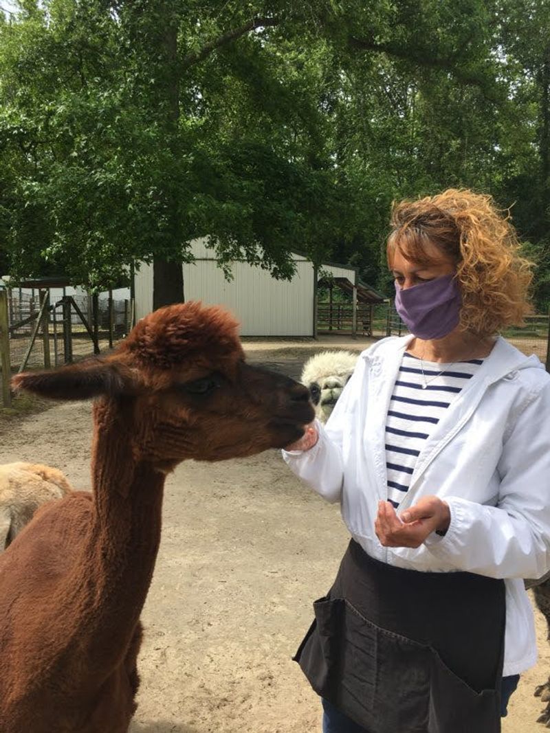 Private Mingling Tours Up Close and Personal