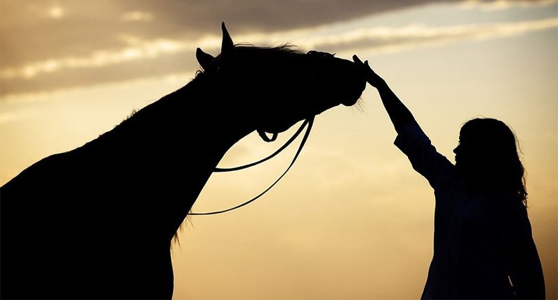Private Rides, Sunsets, And Special Occasions