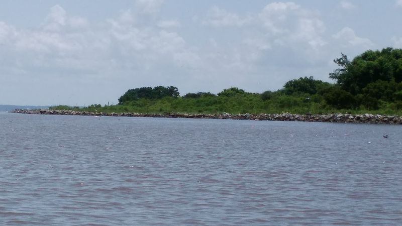 Proof That Conservation Work Actually Pays Off