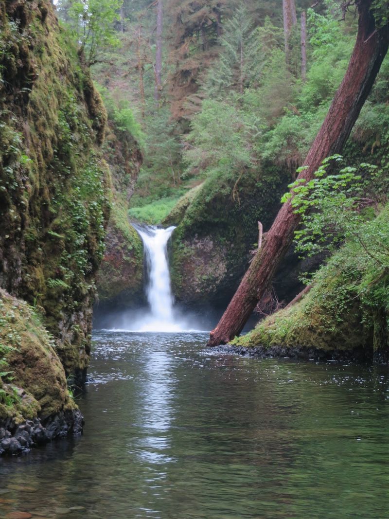 Punch Bowl Falls, the Star of the Show Punch Bowl Falls, the Star of the Show