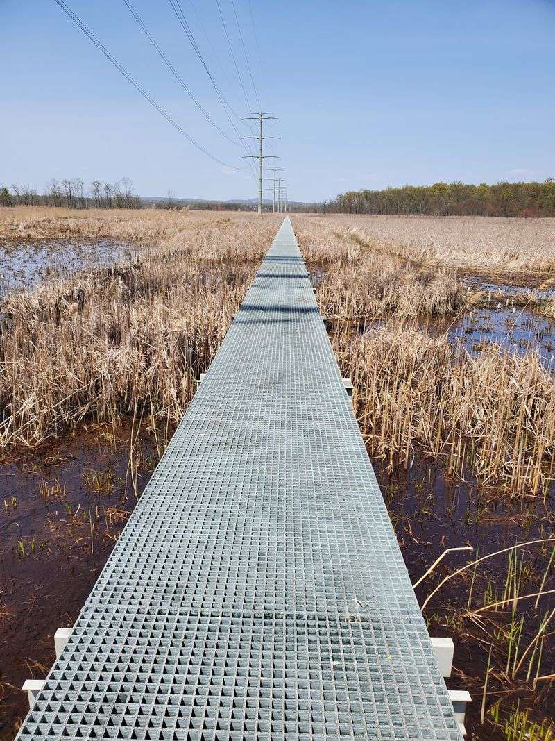 Quiet Boardwalk, Surprising Solitude Quiet Boardwalk, Surprising Solitude