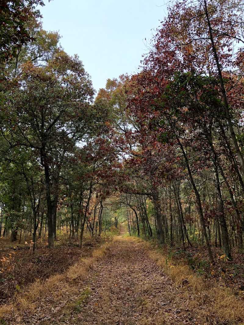 Quiet That Feels Genuinely Rare In Northwest Indiana