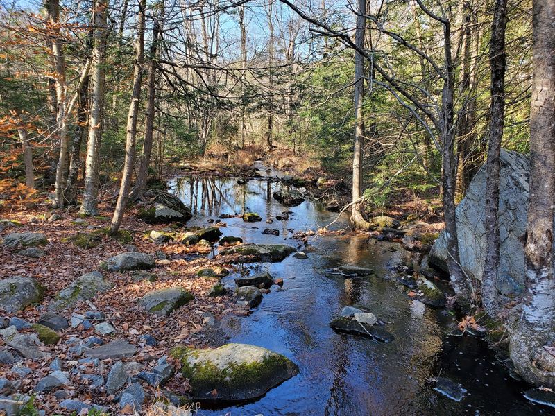 Quiet Trails, Wild Encounters