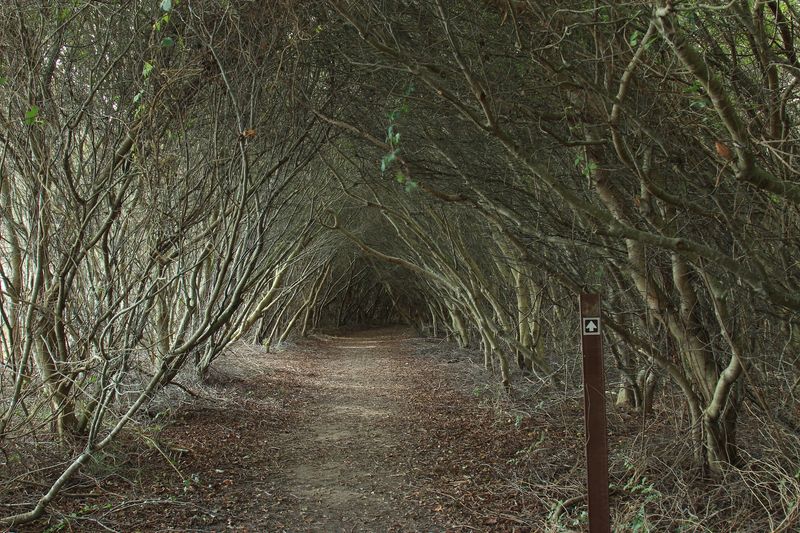 Rackliffe House Trail Loop