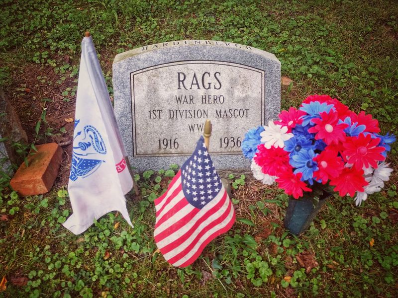Rags, the World War I Mascot Dog With a Flag by His Marker