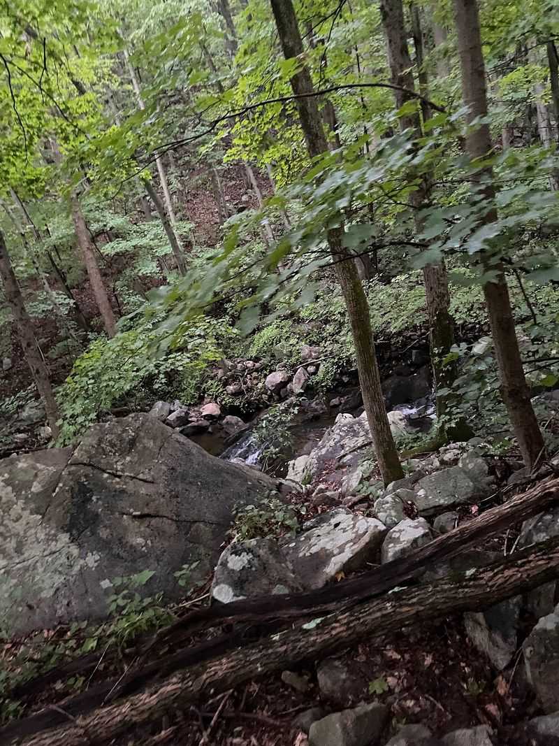 Ramapo Lake Trail Ramapo Lake Trail