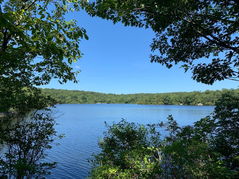 Ramapo Mountain State Forest