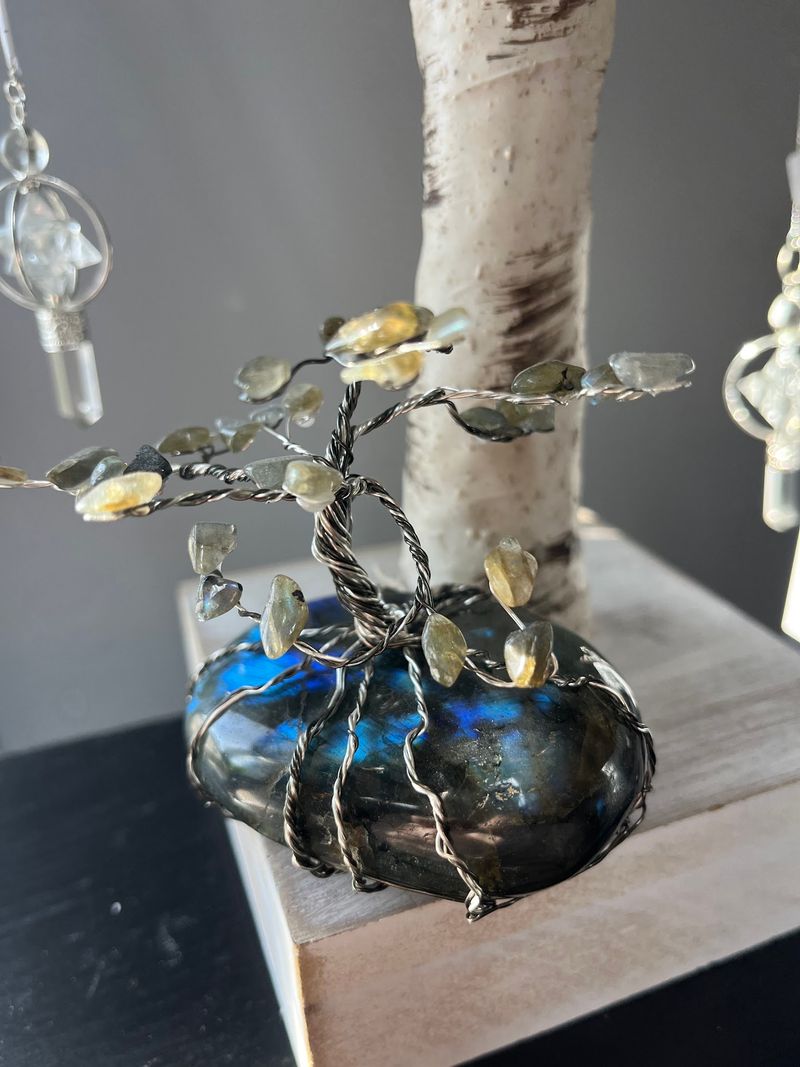 Rare and Unique Specimens You Cannot Find Just Anywhere